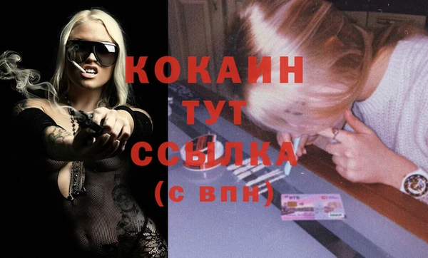 сатива Бородино