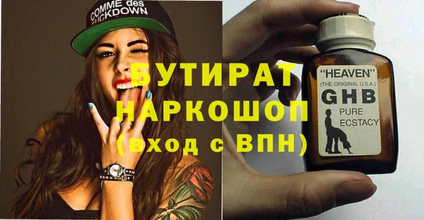 сатива Бородино