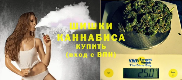 сатива Бородино