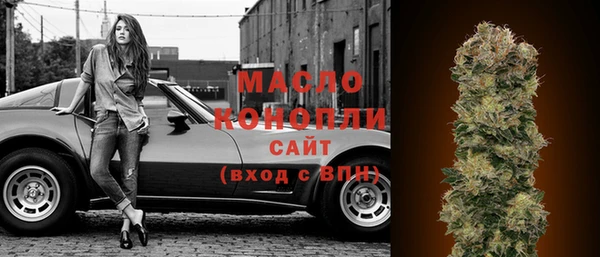 сатива Бородино
