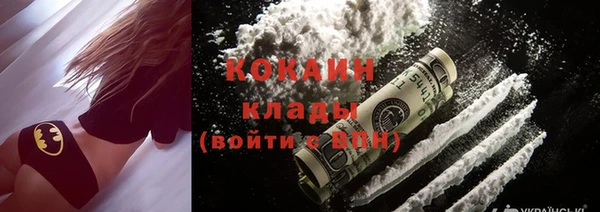 сатива Бородино