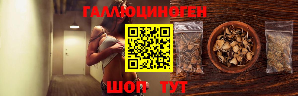 Воркута  Галлюциногенные грибы мицелий  Вход с VPN 